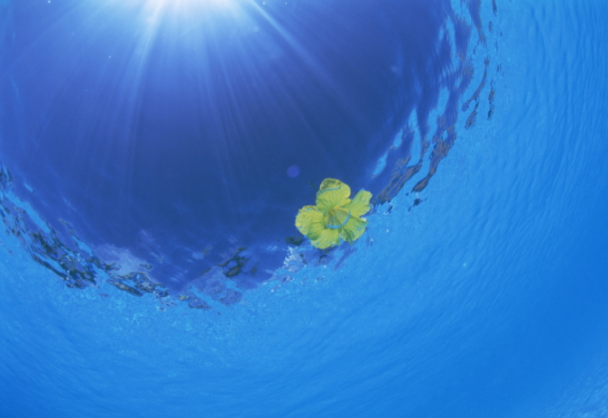 水質(zhì)采樣器應(yīng)該怎樣保養(yǎng)與維護(hù)？（水質(zhì)采樣器注意定期清潔和消毒）